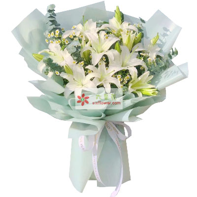 威海6支白色多头百合，温馨的祝福