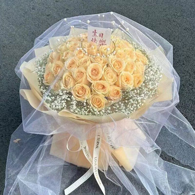 威海52朵香槟玫瑰满天星,你就是我的全部